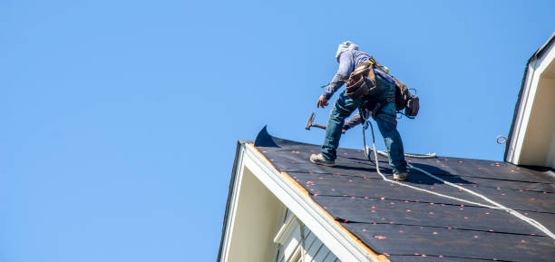 Best Roof Gutter Cleaning  in Wharton, NJ